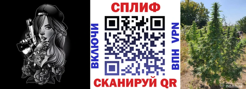 Купить закладку Киров Alpha-PVP  МЕТАДОН  ГАШ  Каннабис  Меф мяу мяу 