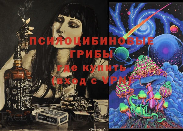 мяу мяу мука Алексеевка