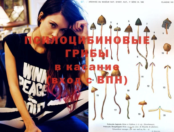 ГАЛЛЮЦИНОГЕННЫЕ ГРИБЫ Усинск
