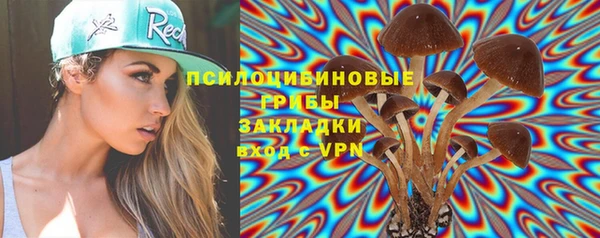 индика Абинск