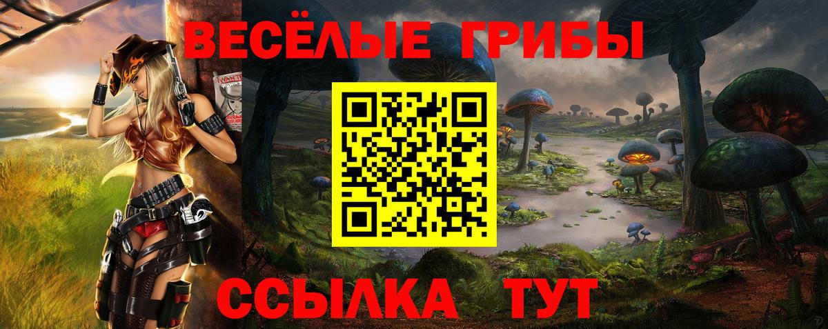 Галлюциногенные грибы прущие грибы Киров