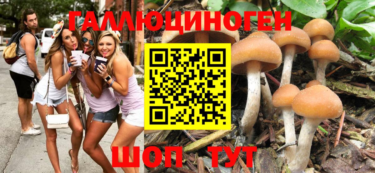 Галлюциногенные грибы MAGIC MUSHROOMS  сколько стоит  Киров  Вход с VPN 